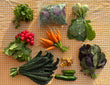 Autumn Harvest Share 🥦🍅🥒