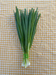 Spring Onions