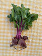 Beetroot